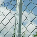 Anping The Best Price 304 / 316 / 316l Stainless Steel Chain Link Fence